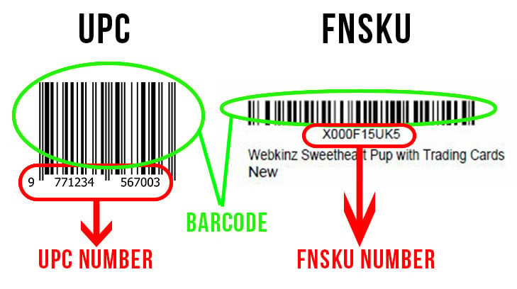 6-FNSKU-(Fulfillment-Network-Stock-Keeping-Unit)