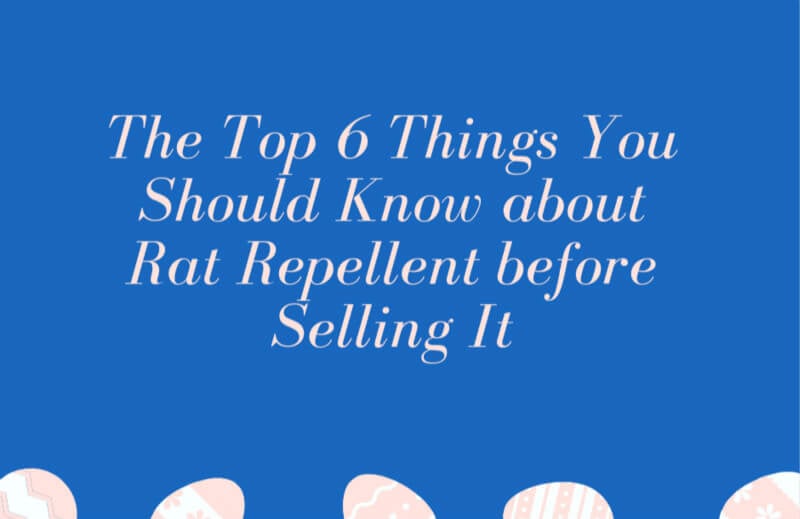 The Top 6 Things You Should Know about Rat Repellent before Selling It