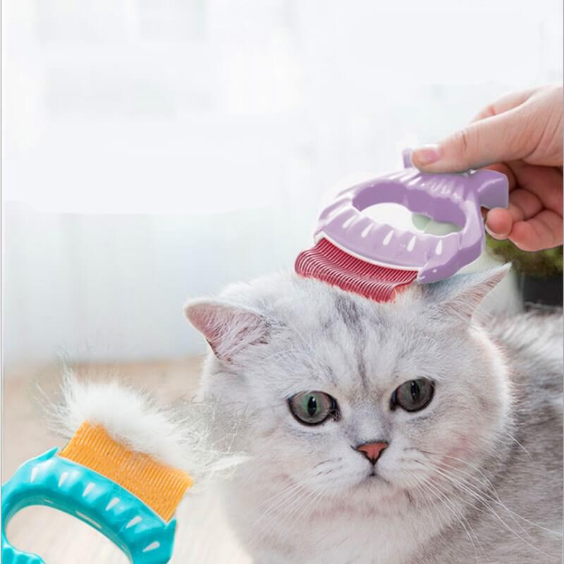 Cat Massage Comb