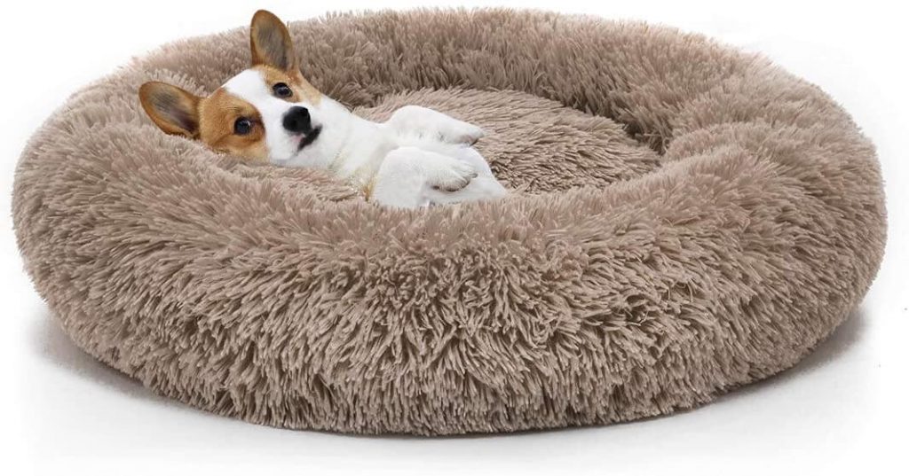 Pet bed