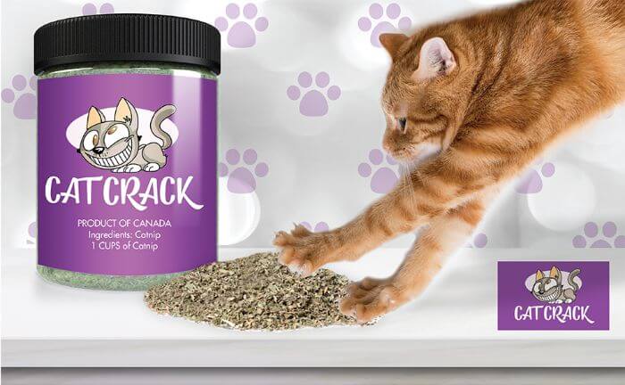 cat crack