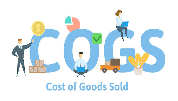 What is the Cost of Goods Sold
