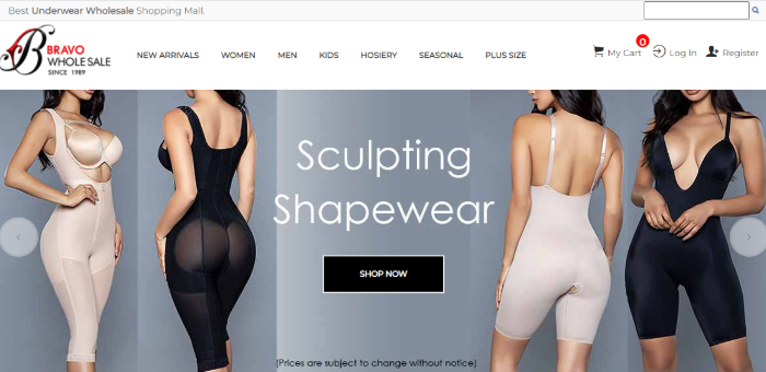 Best 10 Lingerie Wholesale Vendors List In 2024