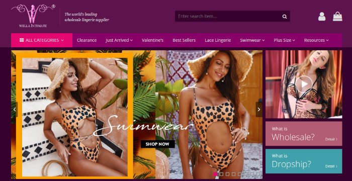 Lingerie Wholesale Vendors