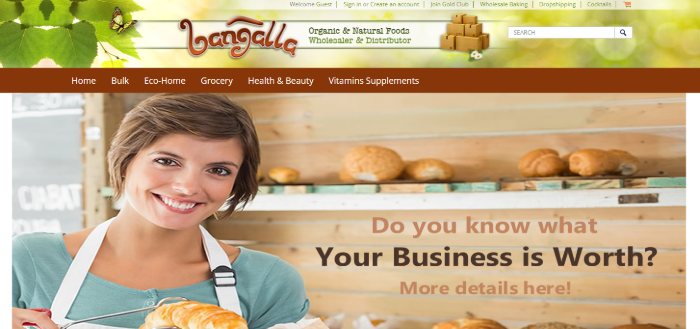 Bangalla Dropshipping Grocery