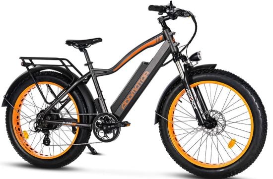 Is Dropshipping Electric Bike  Online profitable