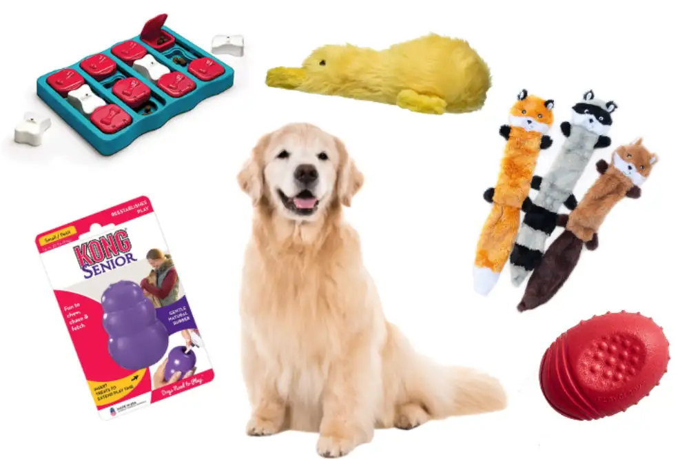 Pet Toys