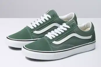 Vans Canvas Shoes