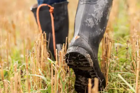 Muck boots clearance dicks sporting goods