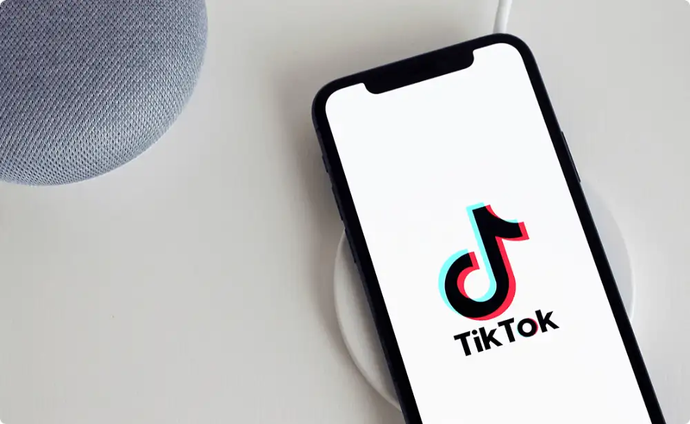 What Is TikTok Dropshipping