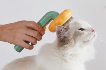 Pet Grooming Brush