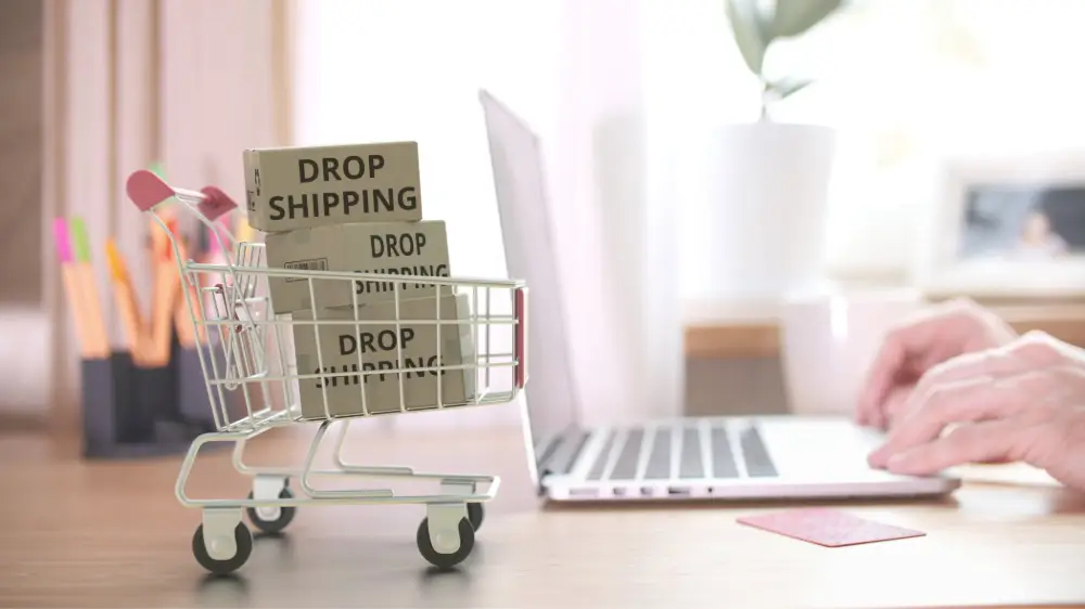 Pros and Cons of Branded Dropshipping 