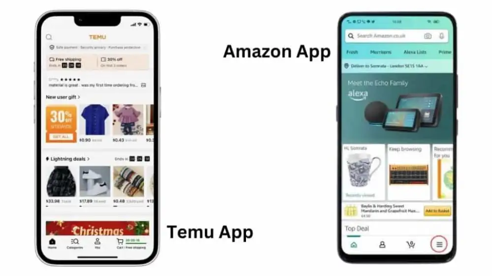 Temu vs Amazon interface