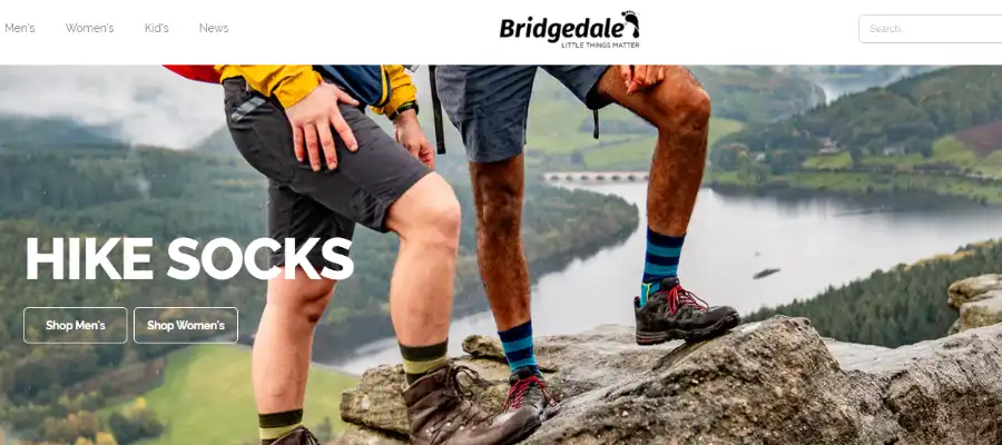 Bridgedale